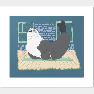 SEAL OCEAN YOGA EXERCISE MAT GYM ANIMAL Posters and Art